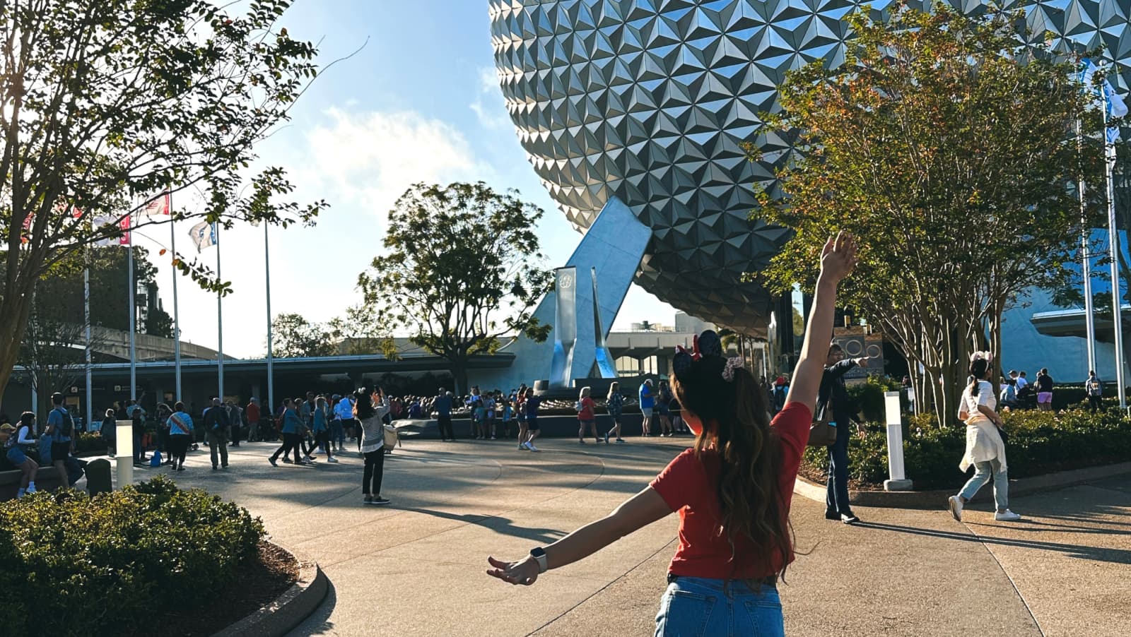 disney planning